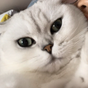 关你喵事